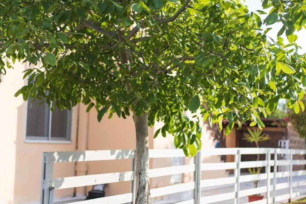 Sandy Beach Complex - Poolside Studios & Seaside Apartments Aparthotel Kavos